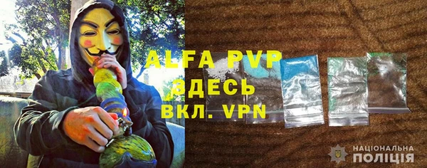 СК Богородицк